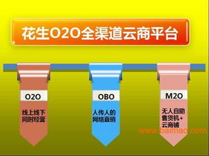廣東F2C電商模式解決方案 專家指導(dǎo)、生產(chǎn)廠家合作與軟件開發(fā)價格解析