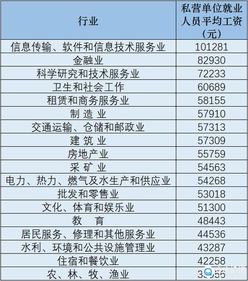 2020年信息技術(shù)咨詢及服務行業(yè)平均工資解析 機遇與挑戰(zhàn)并存